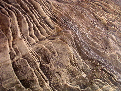 Sedimentary Patterns