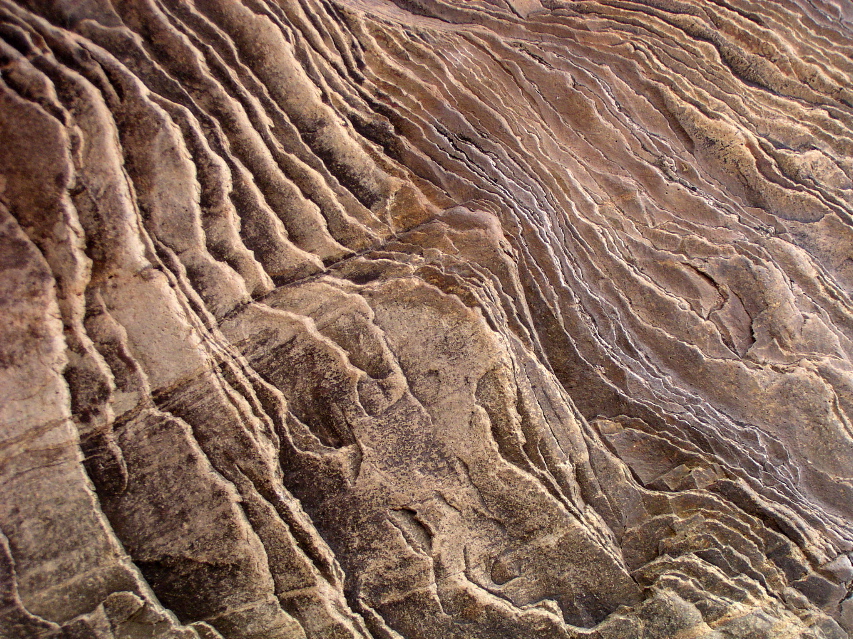 Sedimentary Patterns